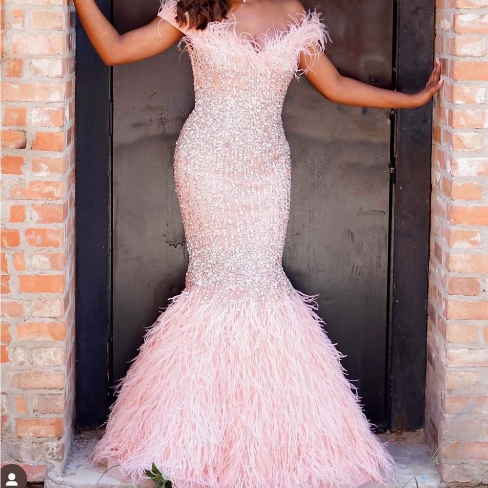 Terani Couture Blush Feathered Gown